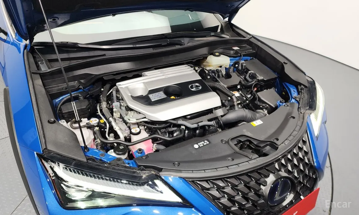 Lexus UX 2019 2.0 AWD