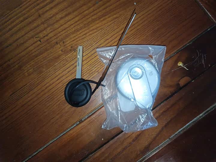 Bestune Pony 2026 2026款 222km 炫彩马