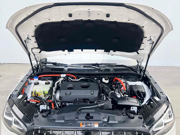 Lincoln Corsair 2024 2024款 1.5T 两驱尊享混动版