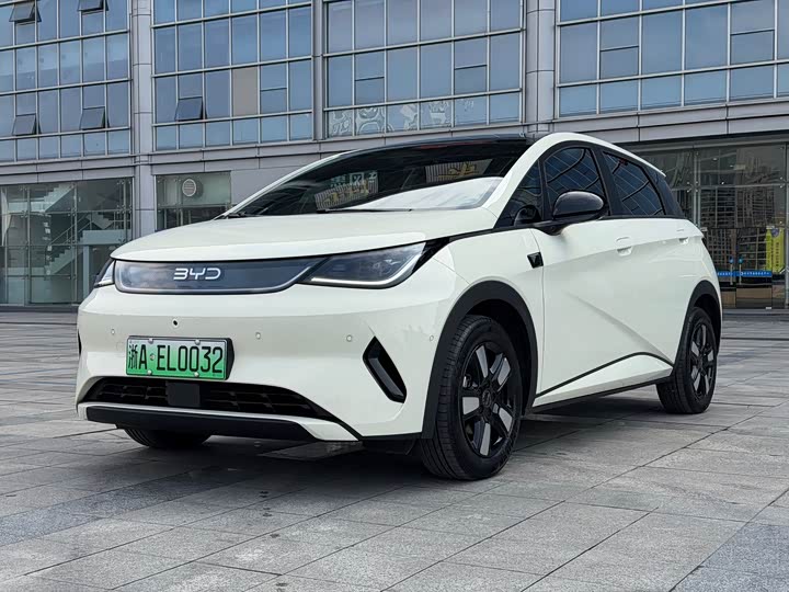 BYD Dolphin 2025 2025款 智驾版 410km 时尚版