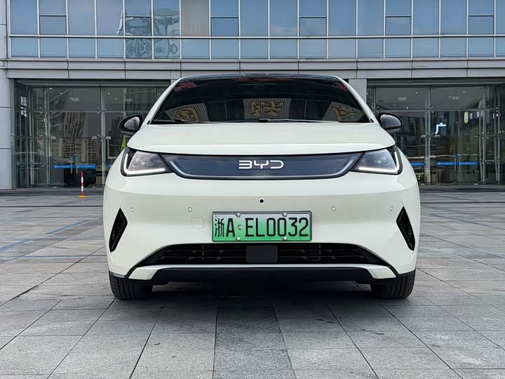 BYD Dolphin 2025 2025款 智驾版 410km 时尚版