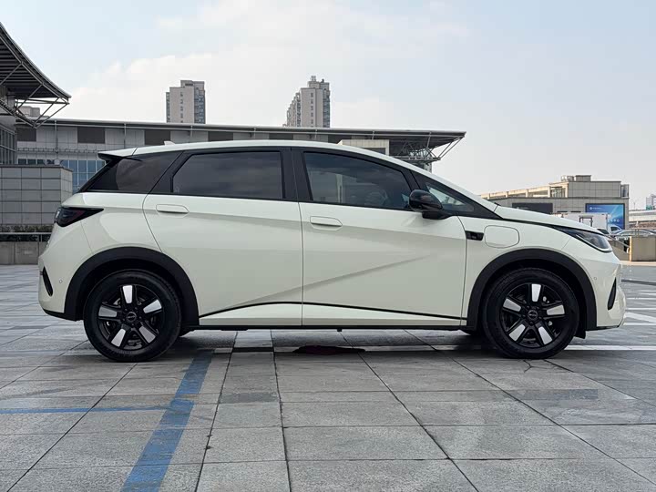 BYD Dolphin 2025 2025款 智驾版 410km 时尚版