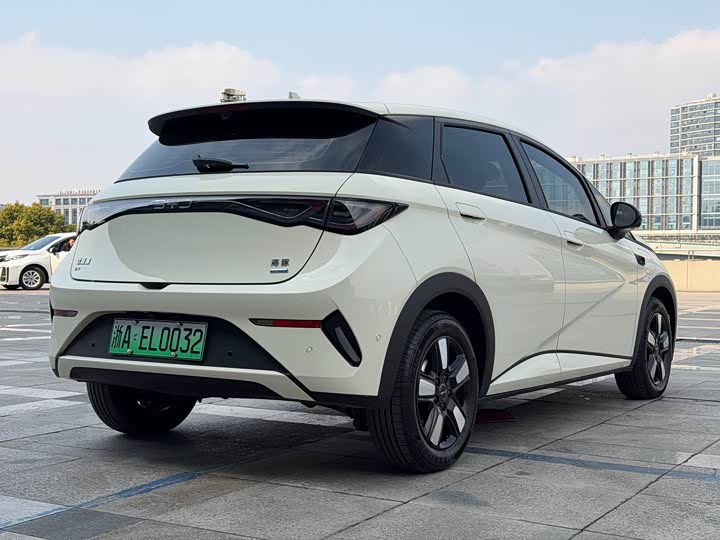 BYD Dolphin 2025 2025款 智驾版 410km 时尚版