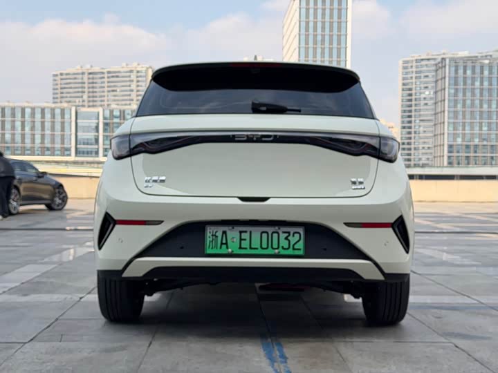 BYD Dolphin 2025 2025款 智驾版 410km 时尚版