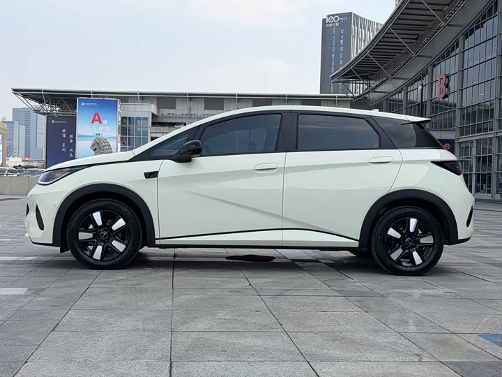 BYD Dolphin 2025 2025款 智驾版 410km 时尚版