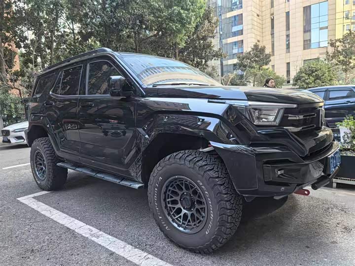 Tank 400 2025 2025款 2.0T 汽油版