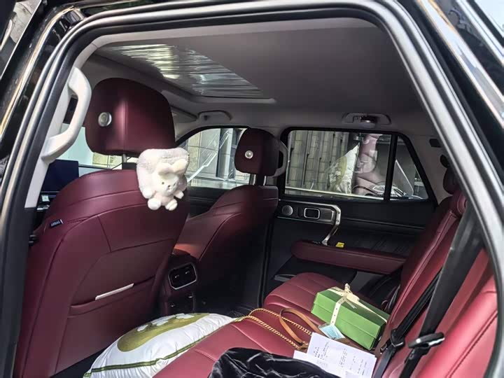 Tank 400 2025 2025款 2.0T 汽油版