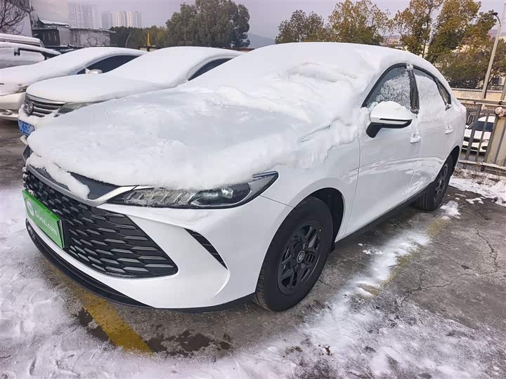 BYD Qin Plus 2025 2025款 DM-i 智驾版 128KM进取型