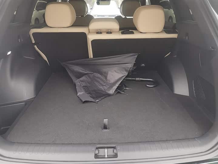 Geely Monjaro 2025 2025款 东方曜 2.0TD 自动四驱望月版