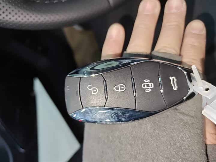 Hongqi H5 Hybrid 2025 2025款 130 超混版