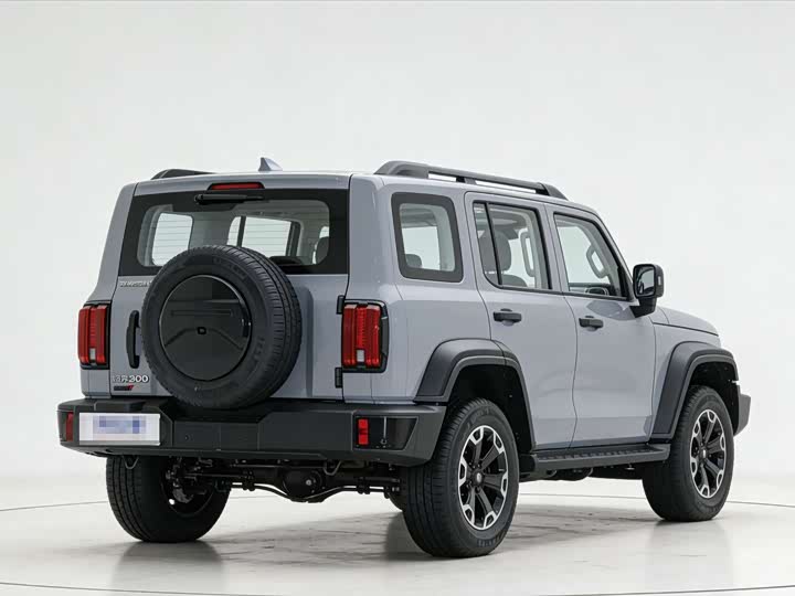 Tank 300 Hybrid 2025 2025款 Hi4-T 37.1kWh