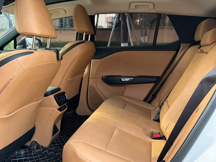 Lexus RZ 2023 2023款 450e 四驱纵享版