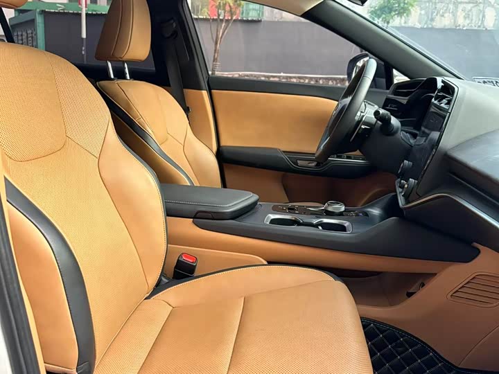 Lexus RZ 2023 2023款 450e 四驱纵享版