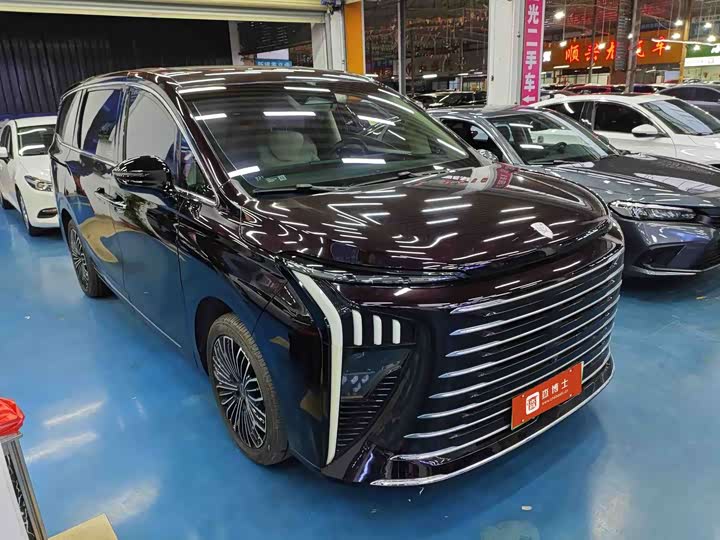 Dongfeng Forthing Xinghai V9 2024 2024款 1.5TD 200km 青云梯系列 旗舰型