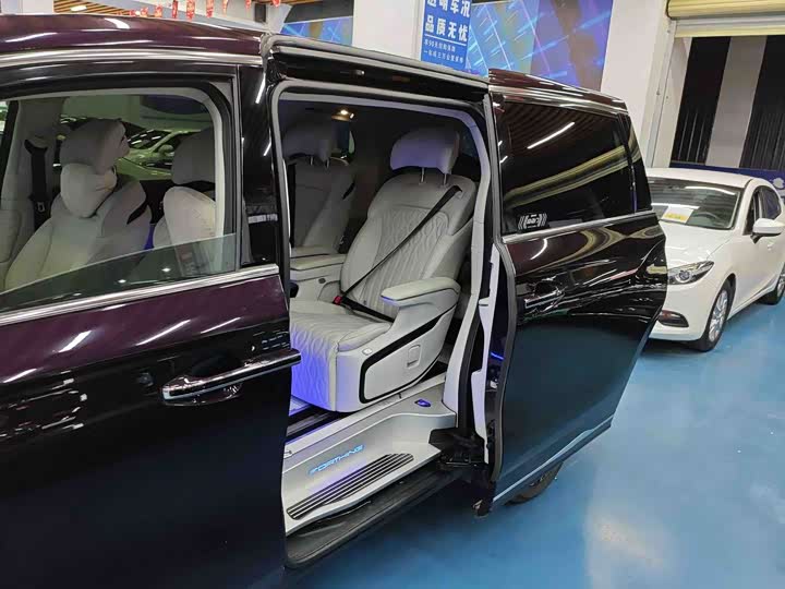 Dongfeng Forthing Xinghai V9 2024 2024款 1.5TD 200km 青云梯系列 旗舰型