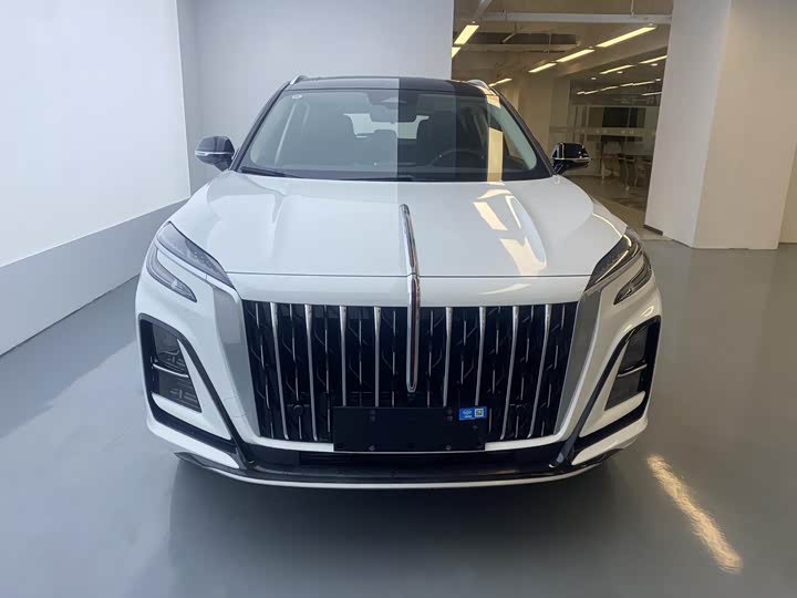 Hongqi HS3 Hybrid 2024 2024款 115km 劲为版