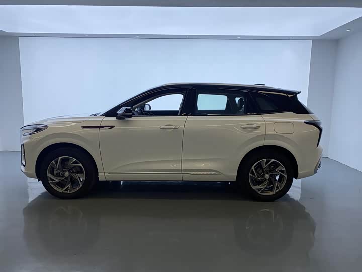 Hongqi HS3 Hybrid 2024 2024款 115km 劲为版