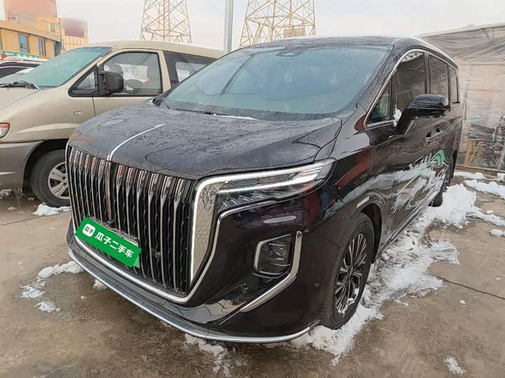 Hongqi HQ9 2024 2024款 2.0T 豪华版