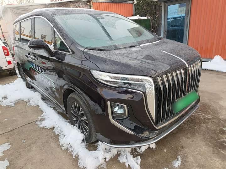 Hongqi HQ9 2024 2024款 2.0T 豪华版
