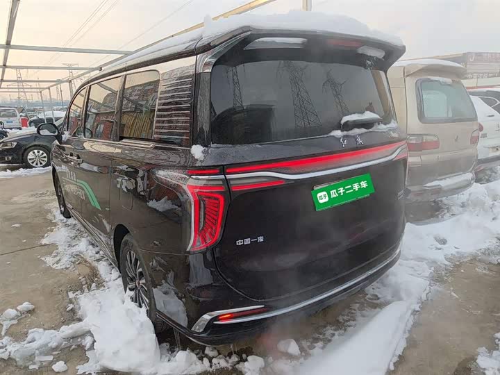 Hongqi HQ9 2024 2024款 2.0T 豪华版