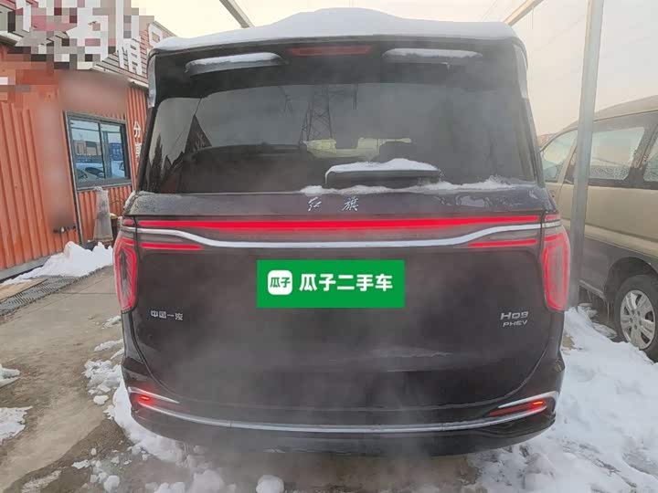 Hongqi HQ9 2024 2024款 2.0T 豪华版