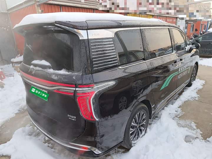 Hongqi HQ9 2024 2024款 2.0T 豪华版