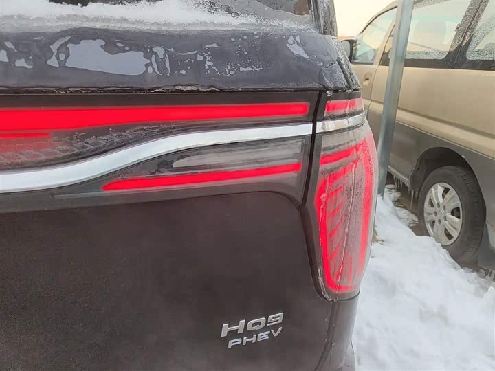 Hongqi HQ9 2024 2024款 2.0T 豪华版