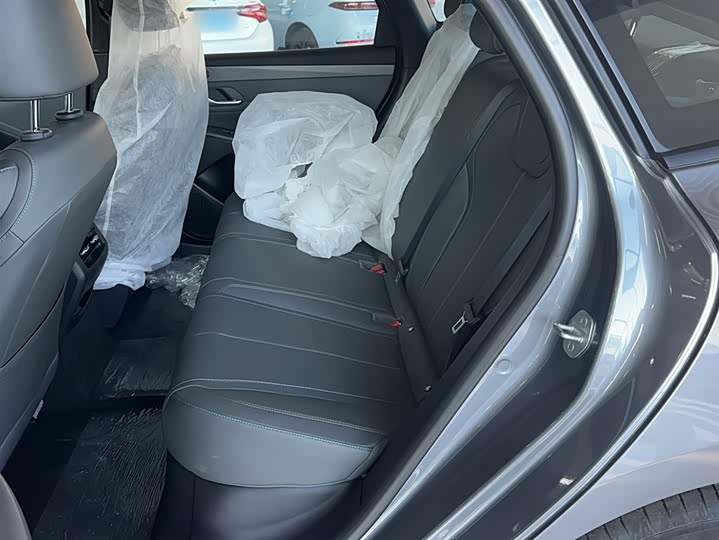 BYD Qin Plus 2025 2025款 DM-i 智驾版 55KM领先型