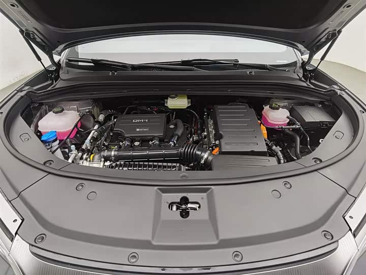 BYD Song L DM-i Hybrid 2025 2025款 智驾版 112km 超越型