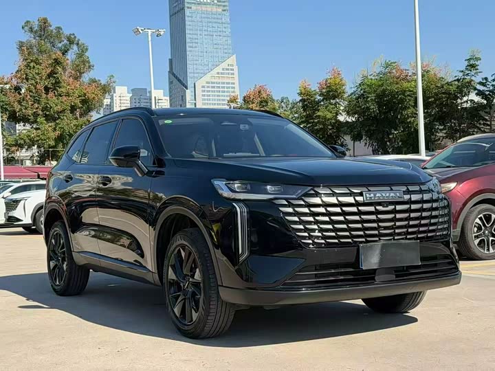 Haval H6 2024 2024款 1.5T 两驱Max
