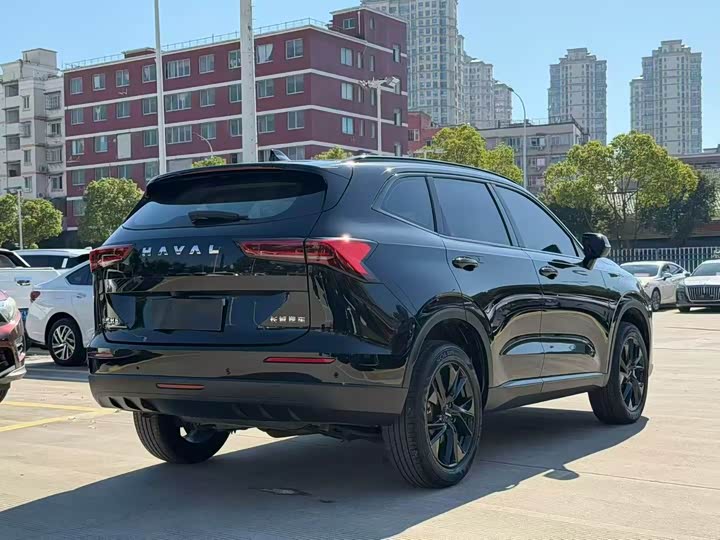 Haval H6 2024 2024款 1.5T 两驱Max