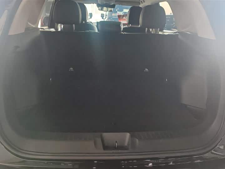 Haval H-Dog 2023 2023款 2.0T 两驱潮野版Plus