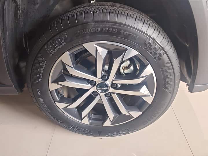 Haval H-Dog 2023 2023款 2.0T 两驱潮野版Plus