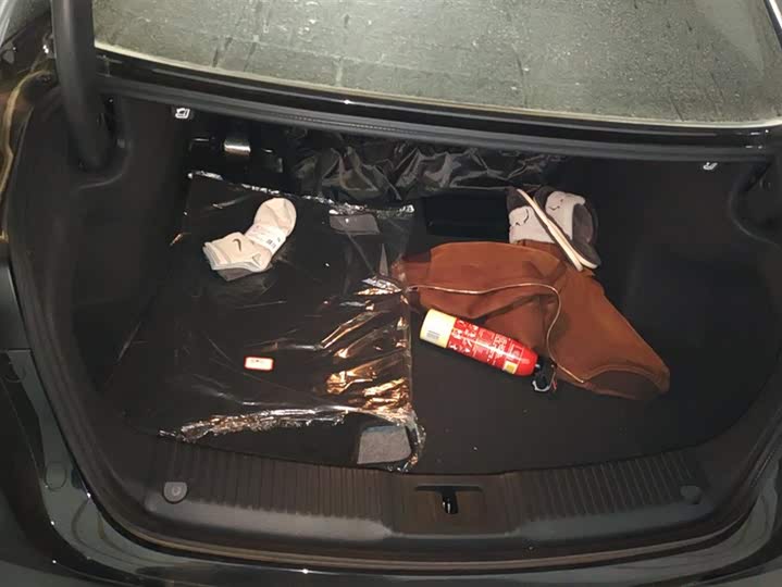 Hongqi H5 2025 2025款 2.0T 自动旗畅版