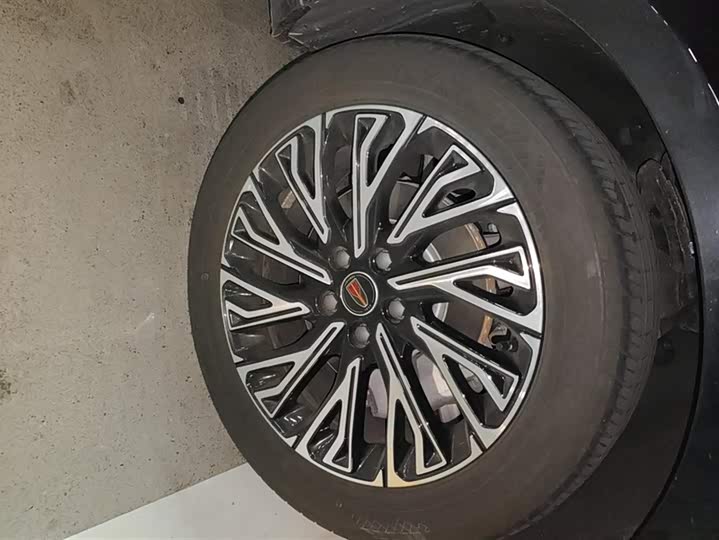 Hongqi H5 2025 2025款 2.0T 自动旗畅版