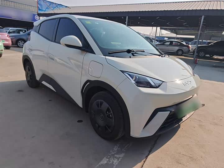 BYD Seagull 2025 2025款 305km 活力版