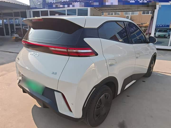 BYD Seagull 2025 2025款 305km 活力版