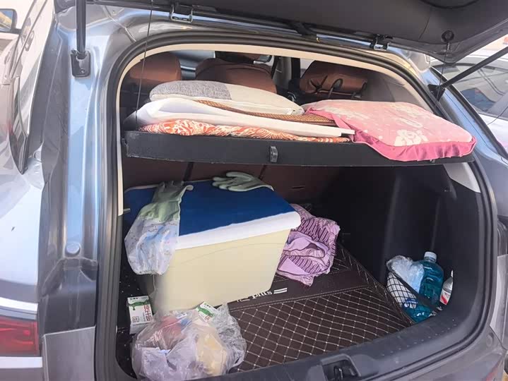 BYD Yuan Plus 2025 2025款 智驾版 510KM 领先型