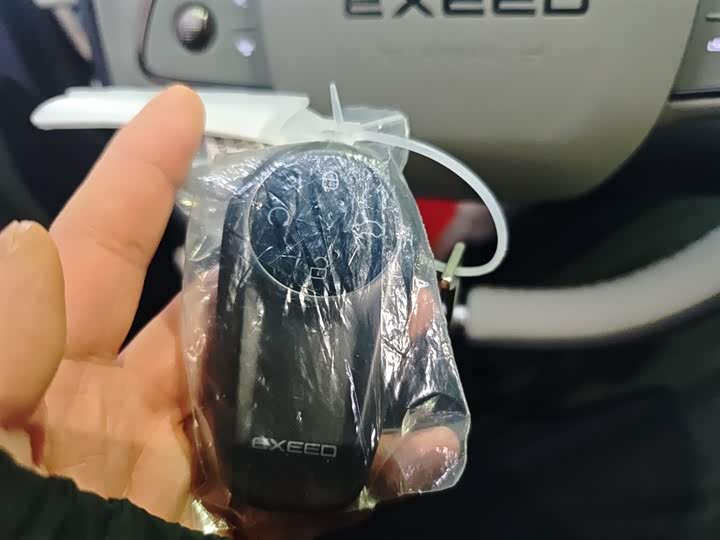 Exeed Sterra ES 2025 2025款 增程 Pro 高速辅助驾驶