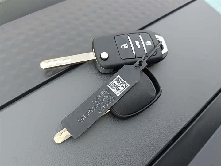 Changan Qiyuan (Nevo) Lumin 2025 2025款 205km 香沁款