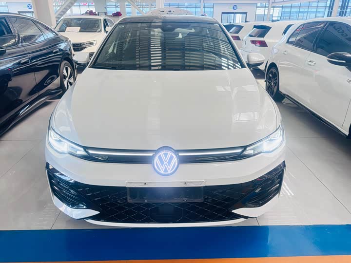 Volkswagen Golf 2025 2025款 300TSI R-Line