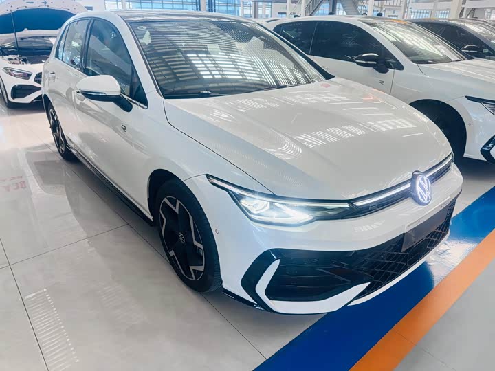 Volkswagen Golf 2025 2025款 300TSI R-Line