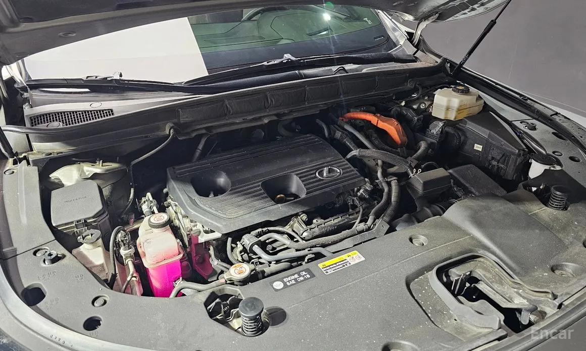 Lexus RX 2023 Luxury