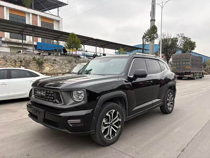 Haval H-Dog 2023 2023款 2.0T 两驱潮野版Plus