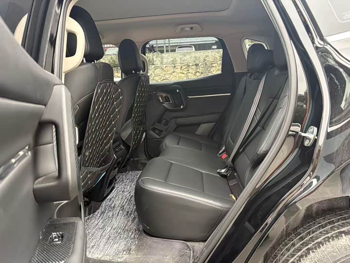 Haval H-Dog 2023 2023款 2.0T 两驱潮野版Plus