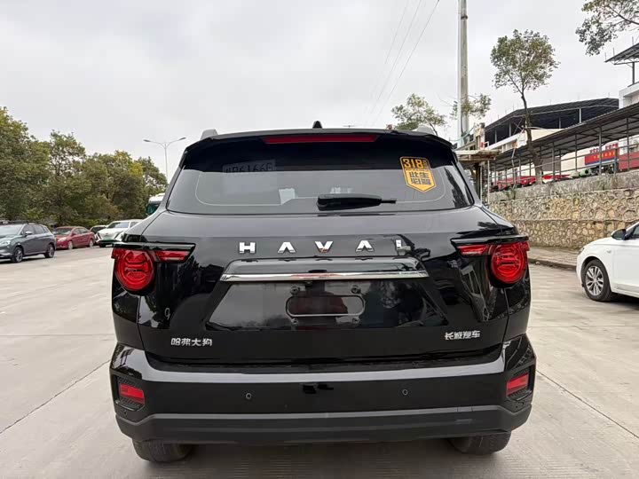 Haval H-Dog 2023 2023款 2.0T 两驱潮野版Plus