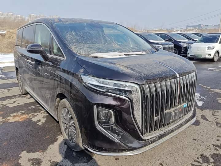 Hongqi HQ9 Hybrid 2024 2024款 2.0T 四驱商务版