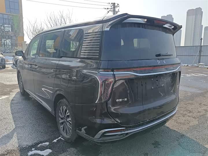 Hongqi HQ9 Hybrid 2024 2024款 2.0T 四驱商务版