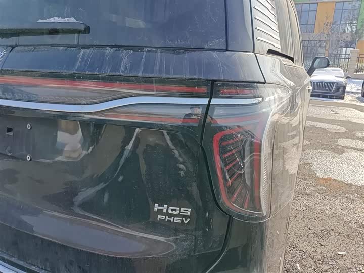Hongqi HQ9 Hybrid 2024 2024款 2.0T 四驱商务版
