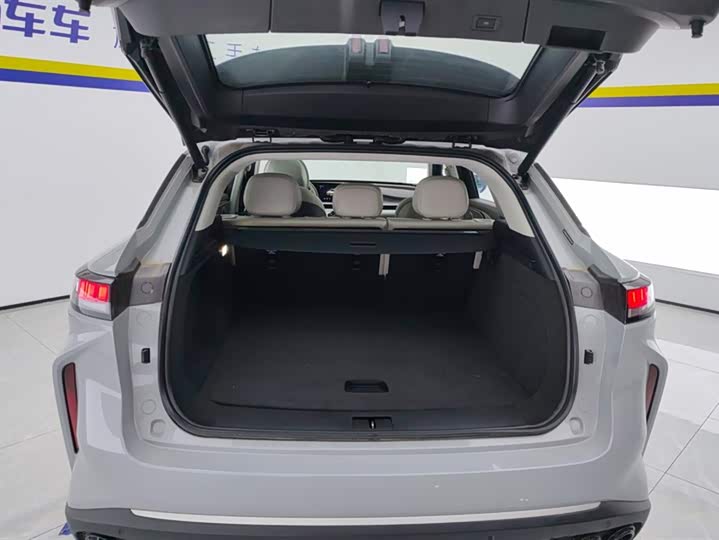 Exeed RX C-DM Hybrid 2024 2024款 1.5T 长续航Pro